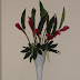 Gingers in white vase.JPG