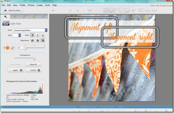 Two text boxes in Picasa Two text boxes in Picasa