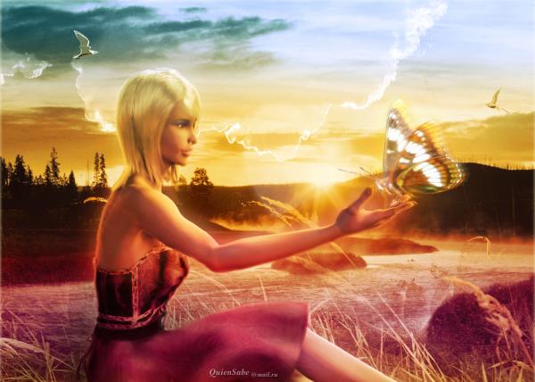 Butterfly In The Hands Of Girl, Mystery