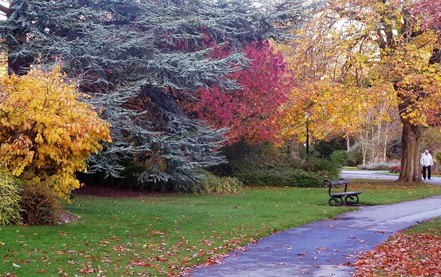 [harrogatevgdns74.jpg]