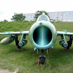 DSC07684.JPG