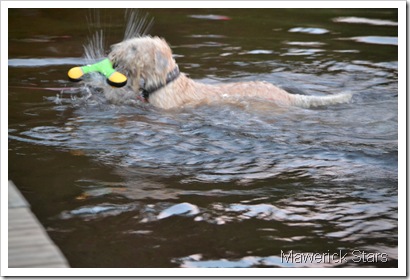 DSC_0087 DSC_0087
