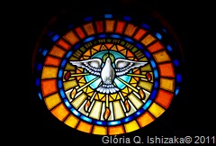 Sabugal - Glória Ishizaka - igreja de são joão - interior - vitral redondo