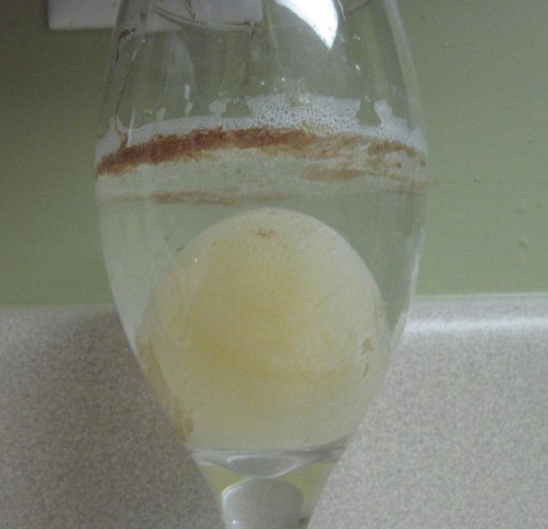 [dissolve%2520shell%25202%255B2%255D.jpg]