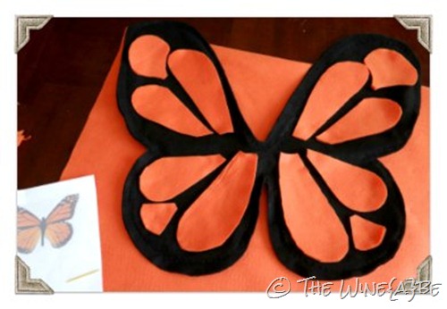 butterfly_wings_4 butterfly_wings_4