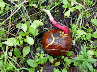HBR_2012Dec28_036.jpg