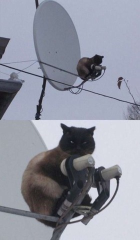 [Imagens%2520engra%25C3%25A7adas%2520e%2520curiosas%252013%255B2%255D.jpg]