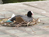 IMG_0687.jpg