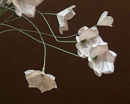 [flores%2520de%2520papel%25202%255B3%255D.jpg]