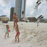 Brooklyn loved feeding the birds her crust every day after lunch!