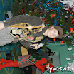 DSCN8205.JPG