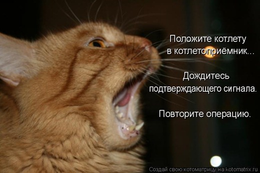 [clip_image012%255B3%255D.jpg]