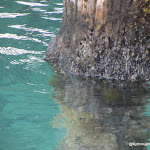 IMG_8896.JPG