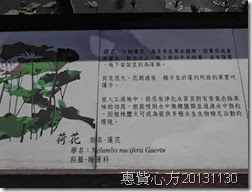 CIMG0018 CIMG0018