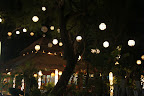 DSC01662.JPG