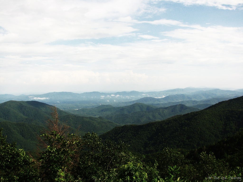 [IMG_3510%255B12%255D.jpg]
