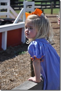southern belle farm 100611 (48)