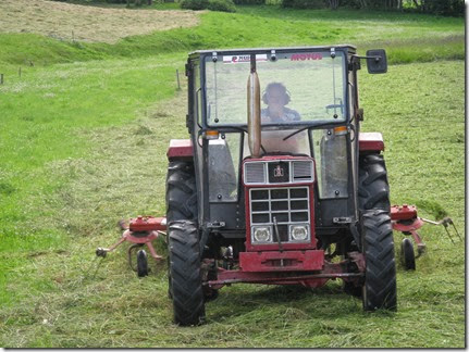 1RD-1making hay 1RD-1making hay