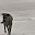 untitled album - 212.jpg