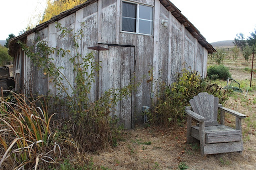 There were neat buildings like this all over the property--great for photos and portraits. There were neat buildings like this all over the property--great for photos and portraits.
