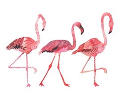 Flamencos Flamencos