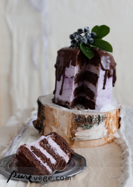 [5Chocolatecake2.jpg]