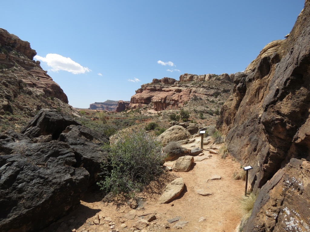 [moab_dino_trail_at_mill_canyon3.jpg]