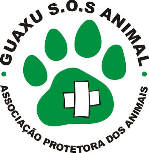 Guaxu SOS Animal tem vários filhotes para adoção