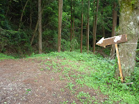 P1110209.JPG Photo