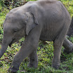 2009_09_06_0373.JPG