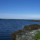 CIMG3950.JPG