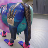 Europe Trip - Cows - cow19.JPG