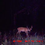 MDGC0013.JPG