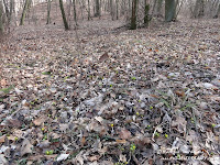 dsc06610.jpg