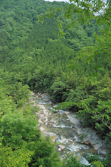 林道から鹿山筋谷
