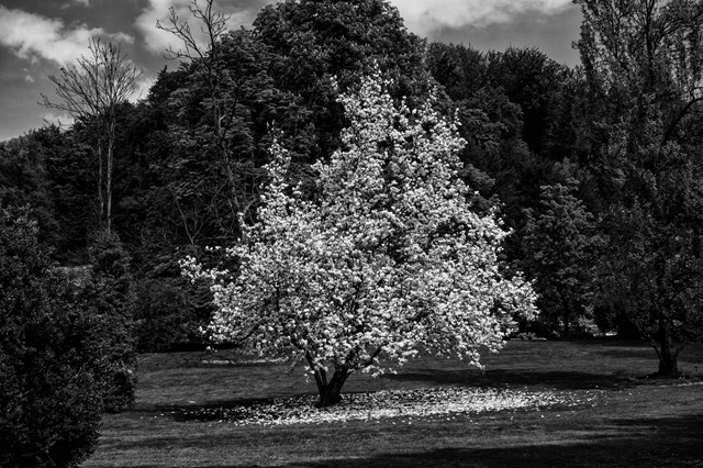 2013-04-30-10-38-54-28655-Edit