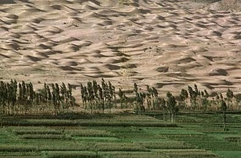 China is creating a 4,500 km (2,800 mi) long forest belt to control sandstorms pushing forward the sands of the Gobi desert. Biopact