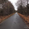 dsc05205.jpg