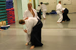 IMG_1713.jpg