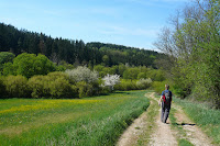 P1100401.JPG