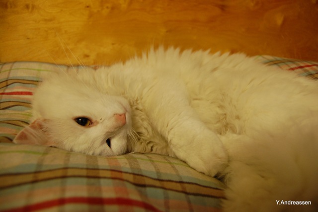 [DSC_8278%255B3%255D.jpg]