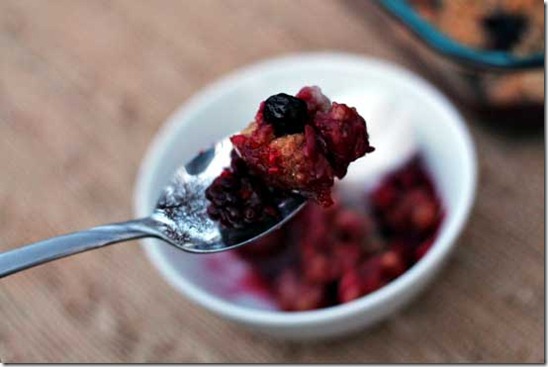 BerryCrumbleBite