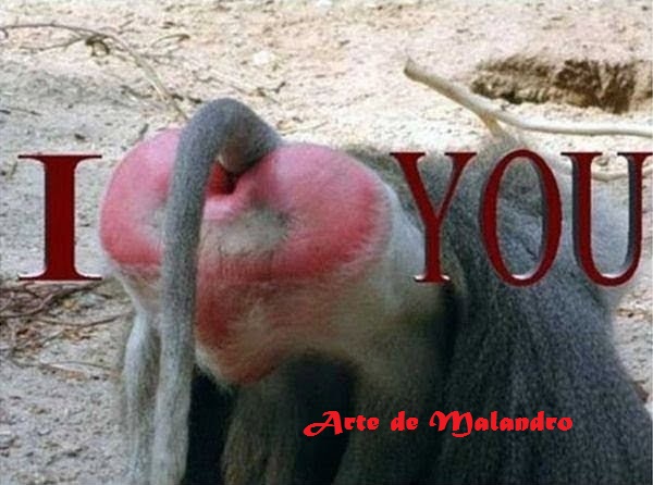 UpFoto