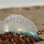 IMG_1884.JPG