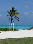 The beach is our first choice if it's not too windy.
Of course structure will be decorated.