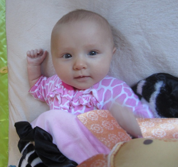 IMG_2514.jpg IMG 2514
