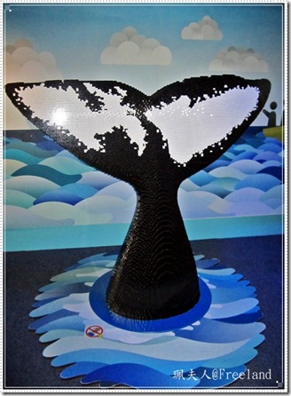 aquarium11