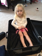 suitcase suitcase