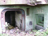 dsc06810.jpg