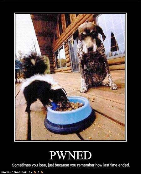 [funny-dog-pictures-pwned%255B4%255D.jpg]